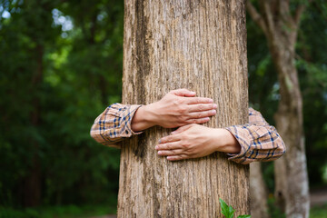 Forest conservationist gentle hugs tree in sunny park, deep care and respect for nature. Their hands embrace the trunk, reflecting commitment to environmental protection and sustainable ecosystems.