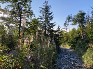 Tatry wysokie, Słowacja