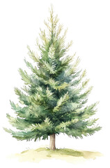 Obraz premium Watercolor Christmas Tree Clipart, Pine Illustration on White Background for Children's Book Design