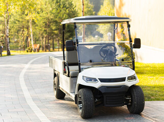 minicar, golf car on the territory of the hotel, outdoors © Sabineyro