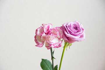薔薇とカーネーション