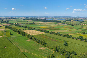 Fototapeta premium Typische Kulturlandschaft im bayerischen Donaumoos bei Niederarnbach in Oberbayern