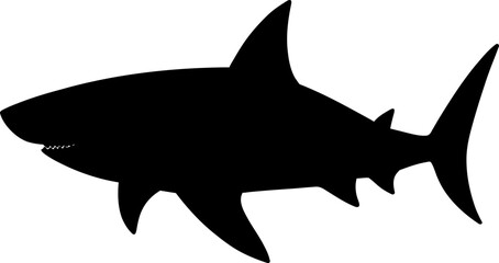 Shark Animal Wildlife Silhouette