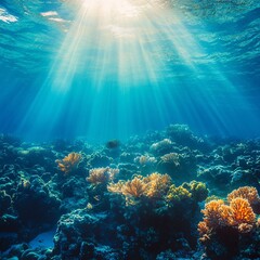 Naklejka premium Sunbeams Illuminating a Colorful Coral Reef