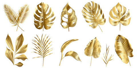 Set of golden tropical leaves on a white background in a detailed illustration.