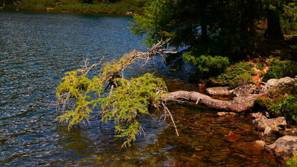 Naturjuwel Gr0ßer Scheibelsee