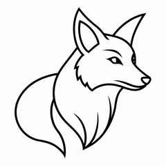 Obraz premium coyote