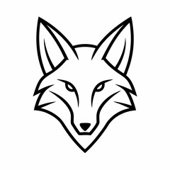 Fototapeta premium coyote