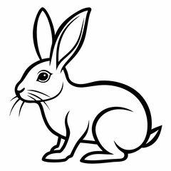 Obraz premium rabbit