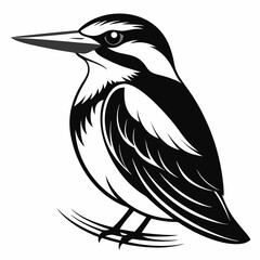 Obraz premium kingfisher