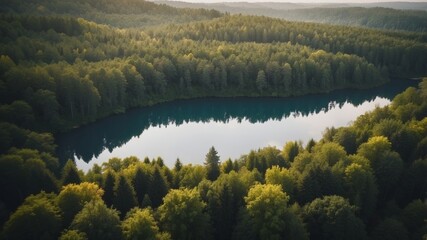 Obraz premium Aerial View of a Lush Forest Surrounding a Tranquil Lake.