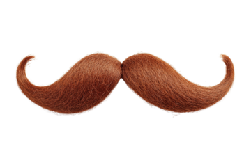 Fake curly brown handlebar mustache isolated on white background