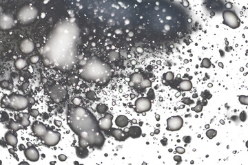 Snow falling on transparent background at night. Abstract backdrop with isolated snowflakes. Snowstorm in winter season