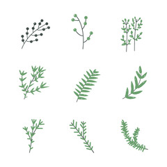 Plant twig hand drawn style icon. collection of isolated cartoon illustrations