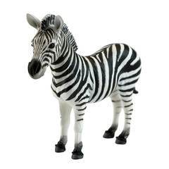 Obraz premium Transparent A zebra is standing in front of a white background