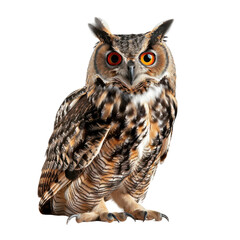 Fototapeta premium Transparent A large brown owl with yellow eyes is sitting on a white background