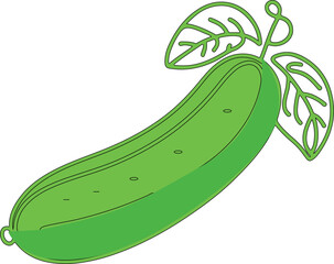 hand drawn Cucumber vector