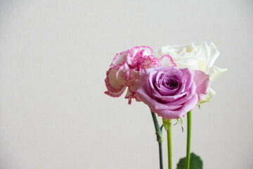 薔薇とカーネーション