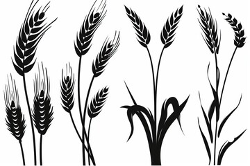 Wheat icon, rye ears sign, barley emblem, oats, cereals symbol, wheat ear, seeds, corns set