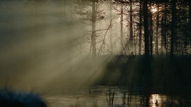 Army Truck full of soldiers in the forest, crossing the forest, lake across the woods at sunset.