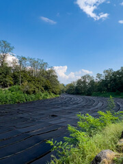 寒冷紗に覆われたワサビ畑