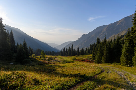 Beautiful mountain landscape, forest and mountains in summer time. Valley in Kazakhstan.