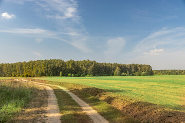 A dirt road runs through a lush green field