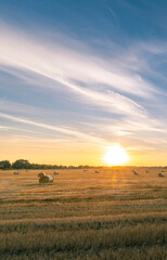 Obraz premium A field of hay with a sun in the sky