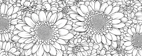 Black and White Floral Pattern, Close-up, Line Art, Gerbera Daisy , Flower Pattern, Line Drawing, Vector Art