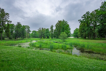 A tranquil scene unfolds as a gentle stream winds through a verdant meadow, framed by lush trees beneath a blanket of soft, gray clouds.