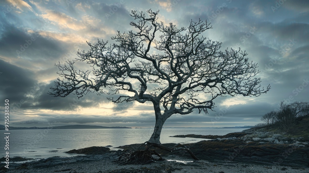 Wall mural thorny tree by the shore