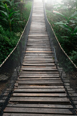 Fototapeta premium Suspension bridge in the evergreen forest for adventure trail in Chiang Mai.