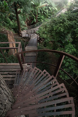 Suspension bridge in the evergreen forest for adventure trail in Chiang Mai.