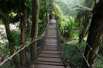 Suspension bridge in the evergreen forest for adventure trail in Chiang Mai.