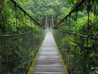 Obraz premium The Green Canopy's Embrace A Wooden Bridge Pathway Through Lush Rainforest, Jungle Bridge, Rainforest Trail, Hanging Bridge