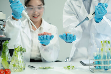 Team Microbiologists Analyzing Molecular Samples in Advanced Food Science Laboratory, Dietitian...