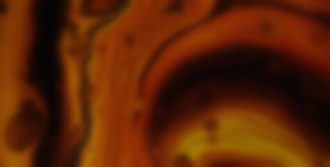 Revel in the Vibrant and Joyful Symphony of Colors in an Abstract Creation