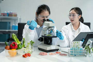 Team Microbiologists Analyzing Molecular Samples in Advanced Food Science Laboratory, Dietitian food and medicine.