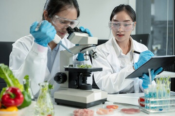 Team Microbiologists Analyzing Molecular Samples in Advanced Food Science Laboratory, Dietitian...