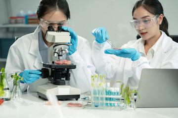 Team Microbiologists Analyzing Molecular Samples in Advanced Food Science Laboratory, Dietitian...