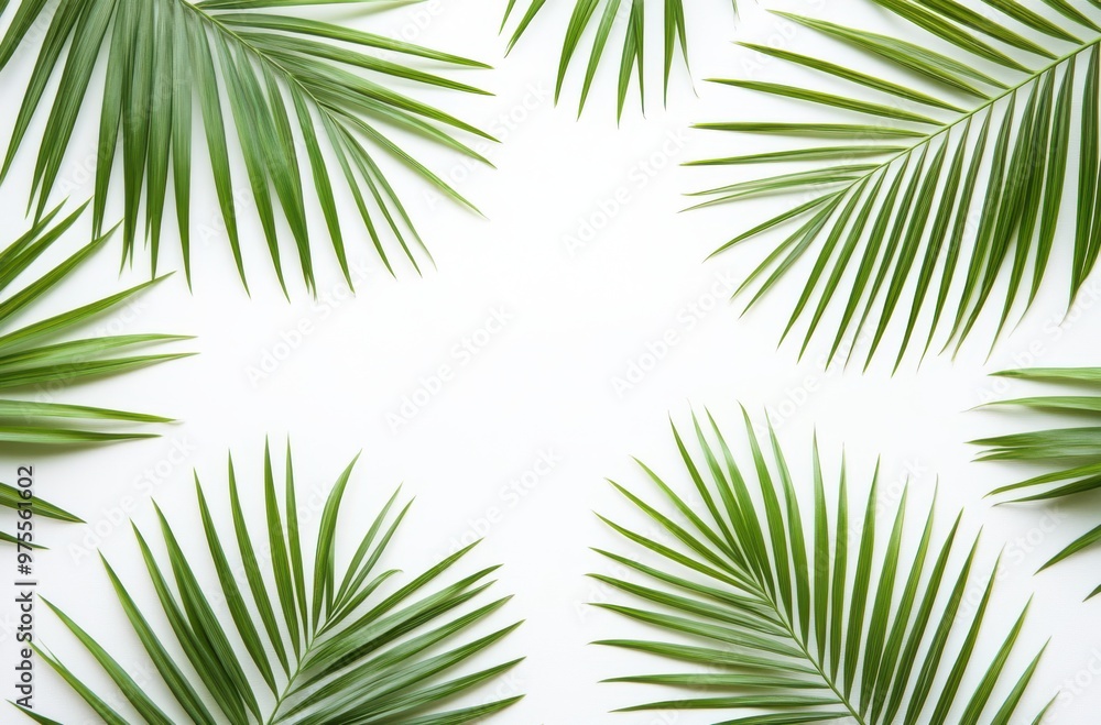 Poster a close up of green leaves with a white background. the leaves are arranged in a circle, with some o