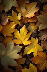 autumn leaves background
