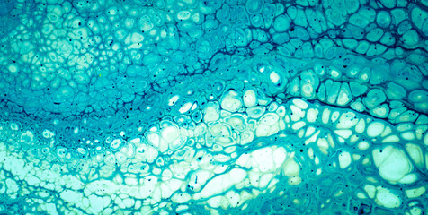 Exploring the Magic of Liquid Art in Oil Paint