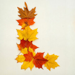 Obraz premium Vibrant autumn leaves in the shape of an alphabet.