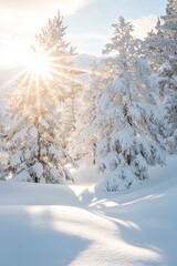 Fototapeta premium Winterliche Sonnenstrahlen