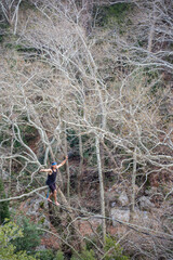 Naklejka premium A tightrope walker walks along a cable stretched over a canyon.