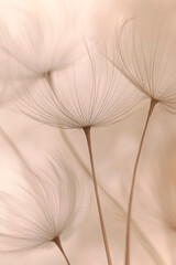 Zarte Samenst&auml;nde