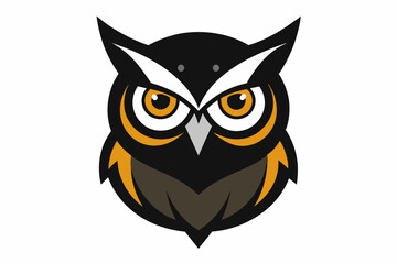 owl on white background