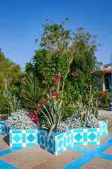 Various tropical plants in the interior of a hotel garden in Hurghada