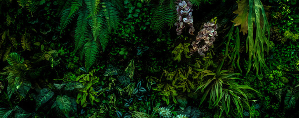 Herb wall, plant wall, natural green wallpaper and background. nature wall. Nature background of green forest